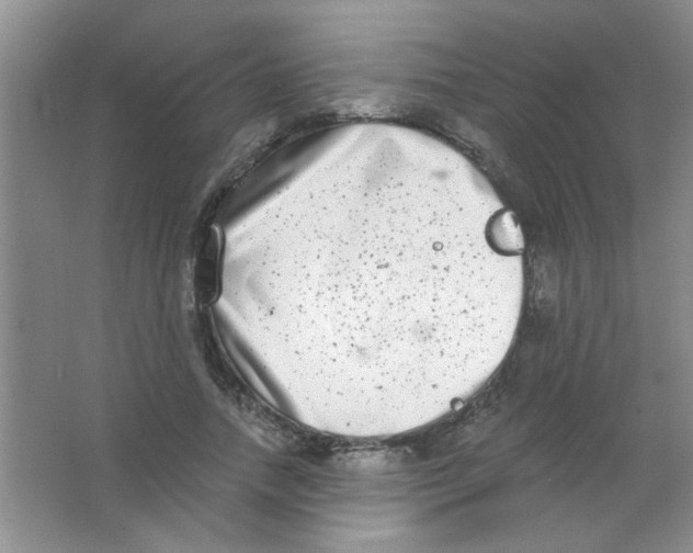 X0000063500738200602101858