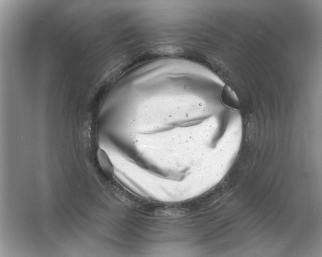 X0000063500739200602101858