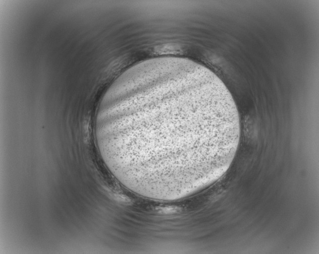 X0000063500741200602101859