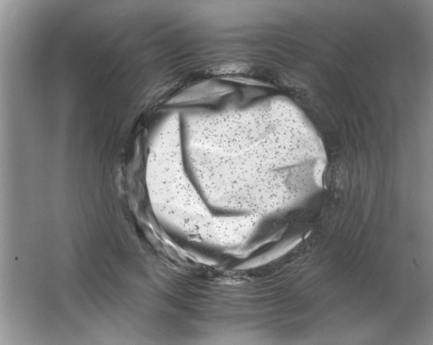 X0000063500743200602101859