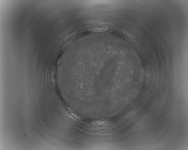 X0000063500745200602101859