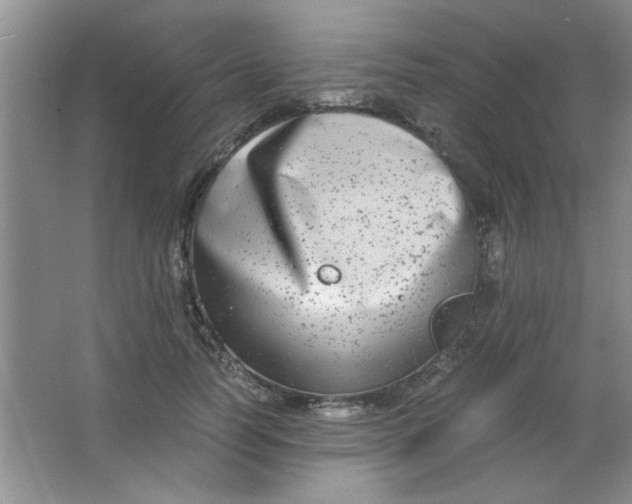 X0000063500746200602101859