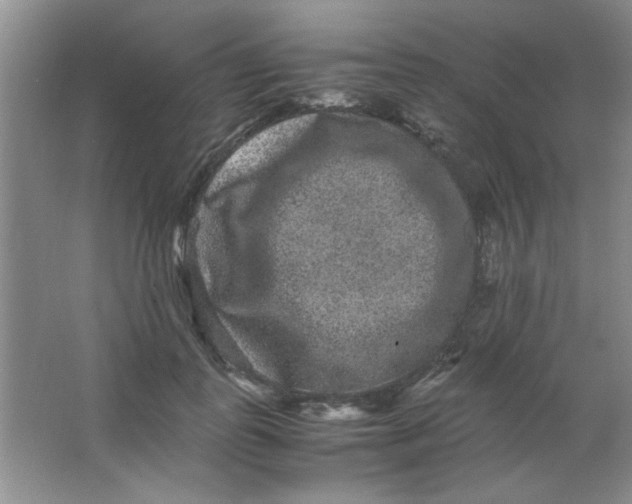 X0000063500747200602101859