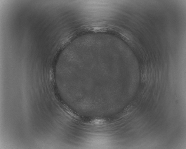 X0000063500748200602101859