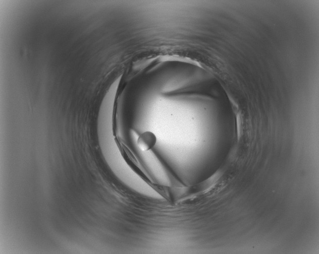 X0000063500750200602101859