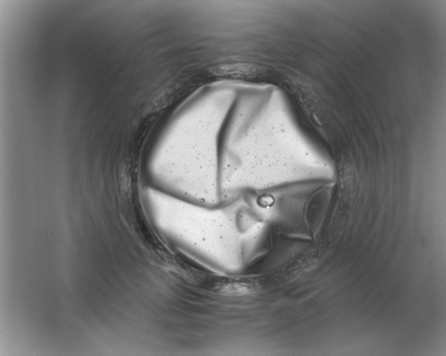 X0000063500751200602101859