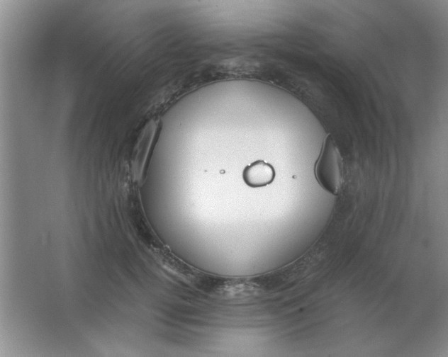 X0000063500752200602101859