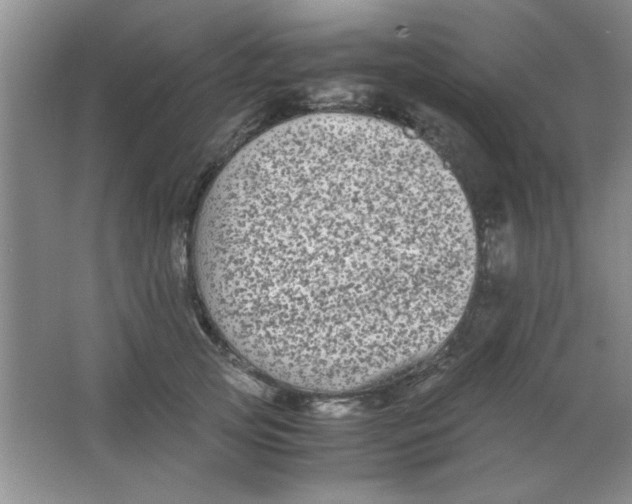 X0000063500753200602101859