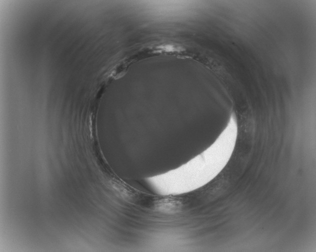 X0000063500754200602101859