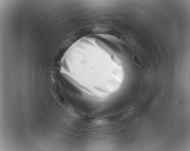 X0000063500755200602101859