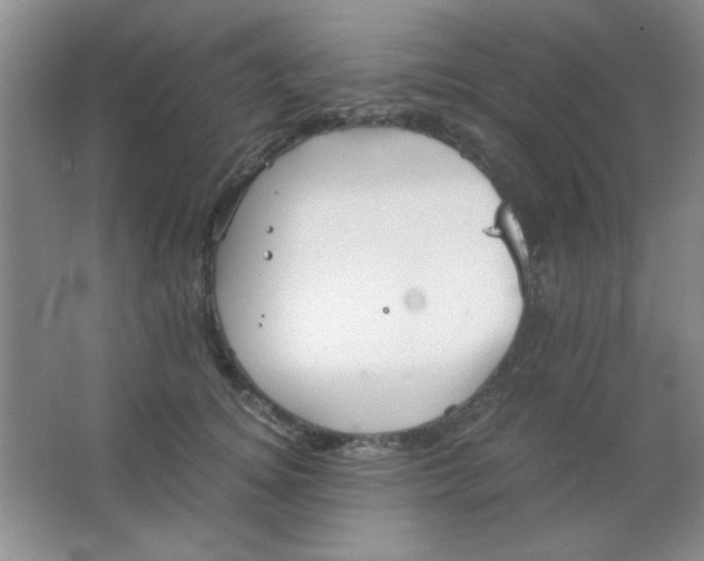 X0000063500756200602101859