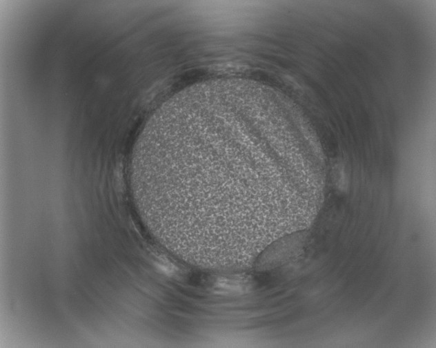 X0000063500757200602101859