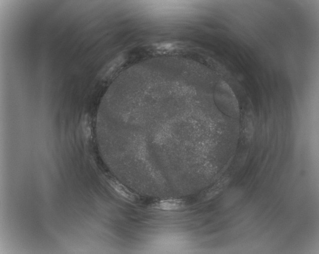 X0000063500758200602101859