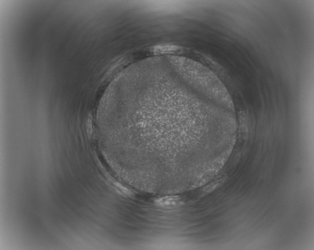 X0000063500761200602101859