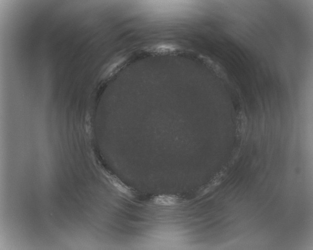 X0000063500762200602101859