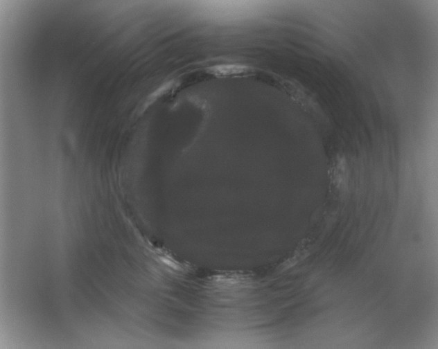 X0000063500763200602101859