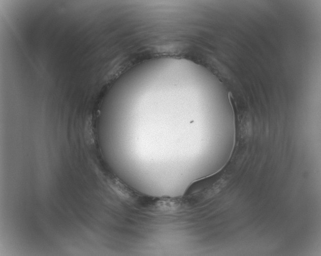 X0000063500764200602101859