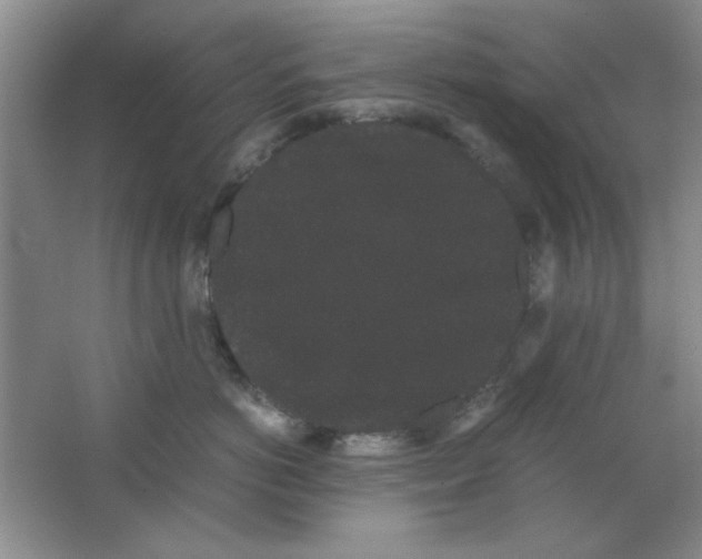 X0000063500766200602101859