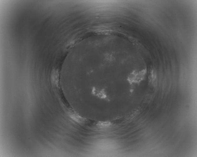 X0000063500767200602101859