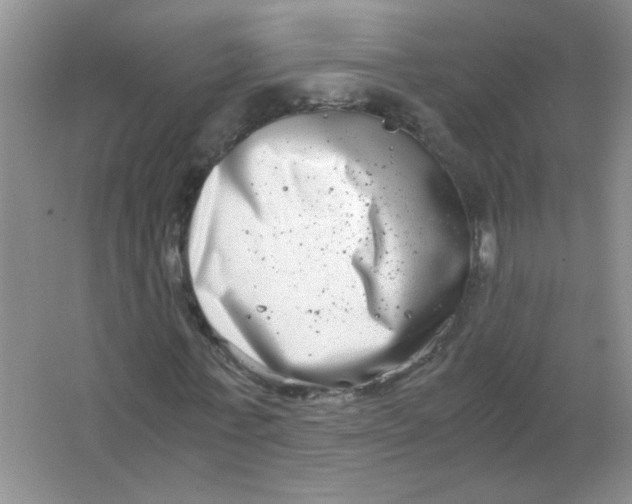 X0000063500771200602101858