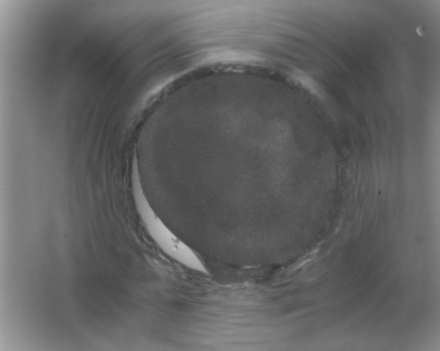 X0000063500775200602101858