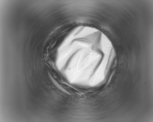 X0000063500776200602101858