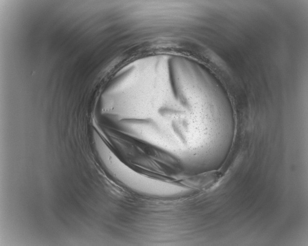 X0000063500777200602101858