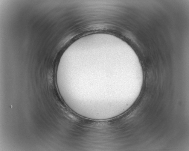 X0000063500778200602101858