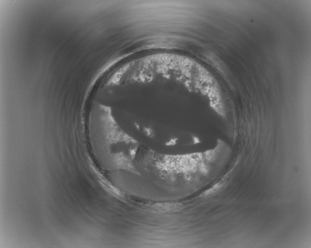 X0000063500779200602101858