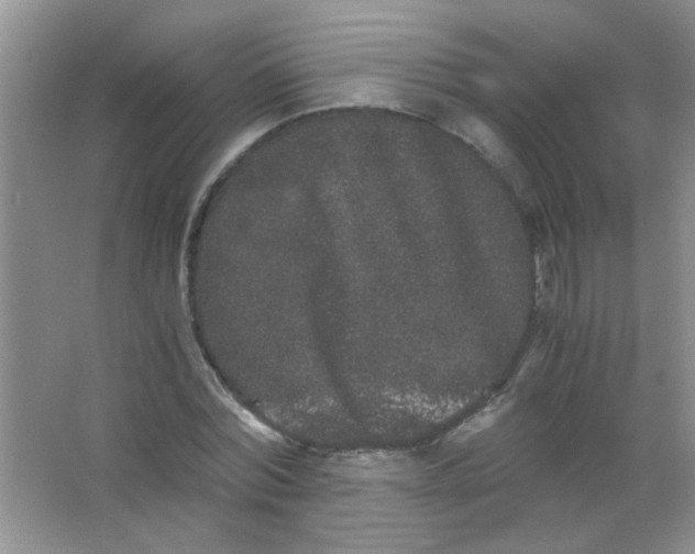 X0000063500780200602101858