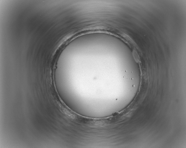 X0000063500781200602101858