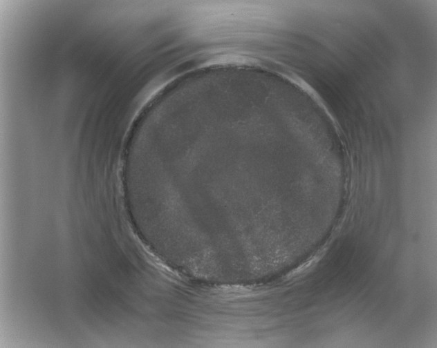 X0000063500783200602101858