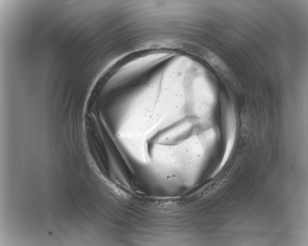 X0000063500784200602101858