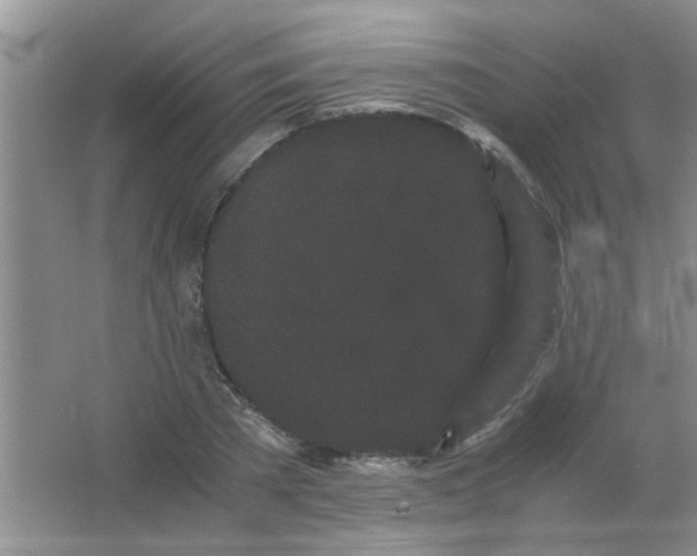 X0000063500785200602101858