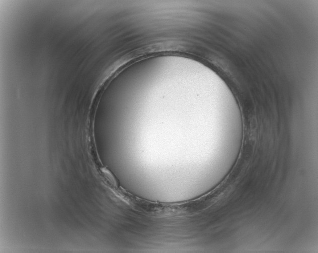 X0000063500786200602101858