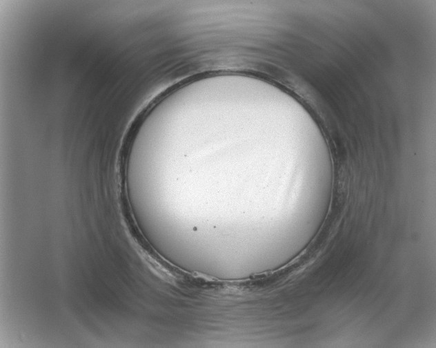 X0000063500787200602101858