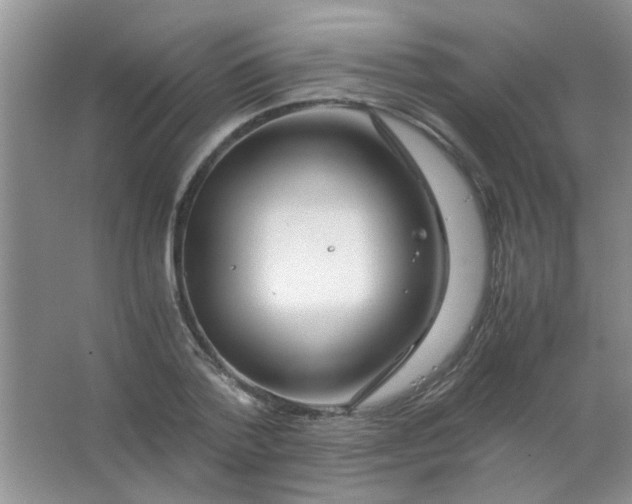 X0000063500788200602101858