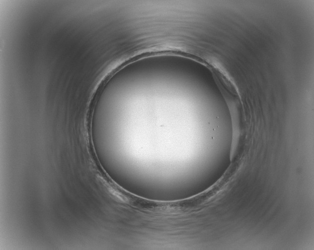 X0000063500789200602101858