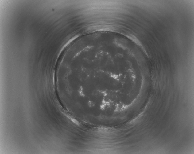 X0000063500790200602101858