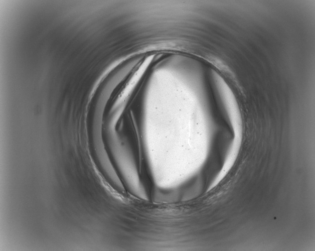 X0000063500792200602101858