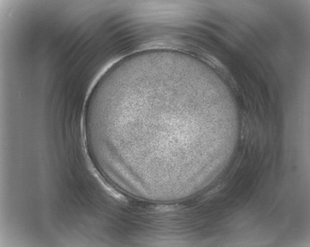 X0000063500796200602101858