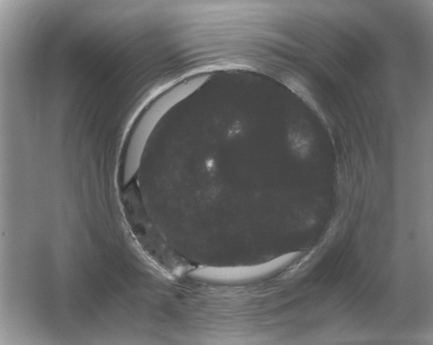 X0000063500797200602101858