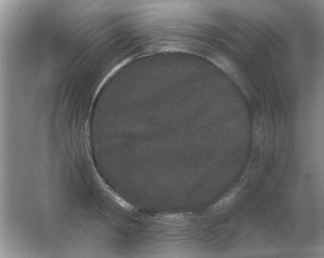 X0000063500798200602101858