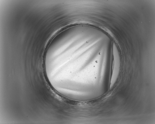 X0000063500799200602101858