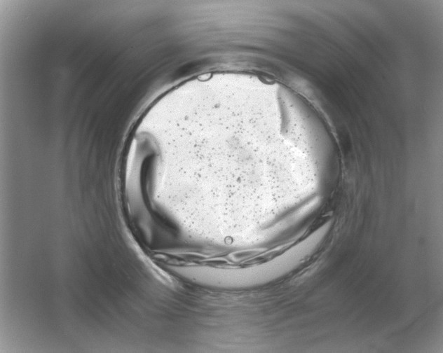 X0000063500803200602101858