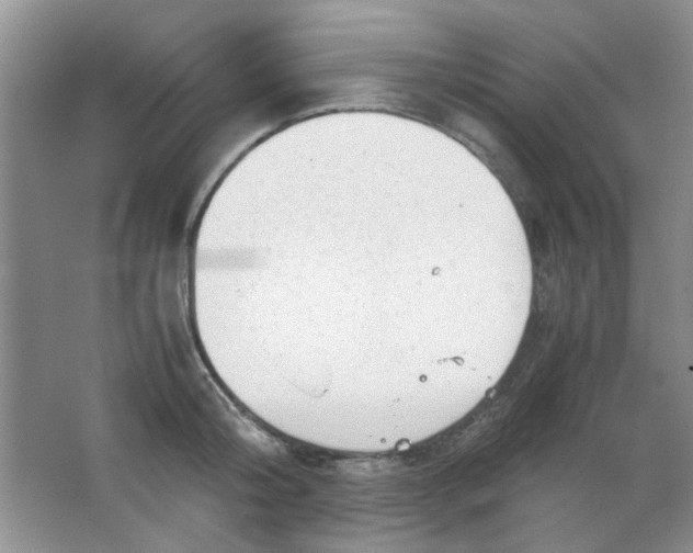 X0000063500804200602101858