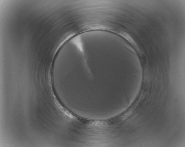 X0000063500806200602101858