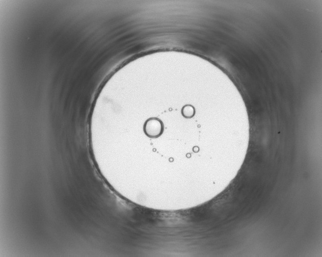 X0000063500807200602101858