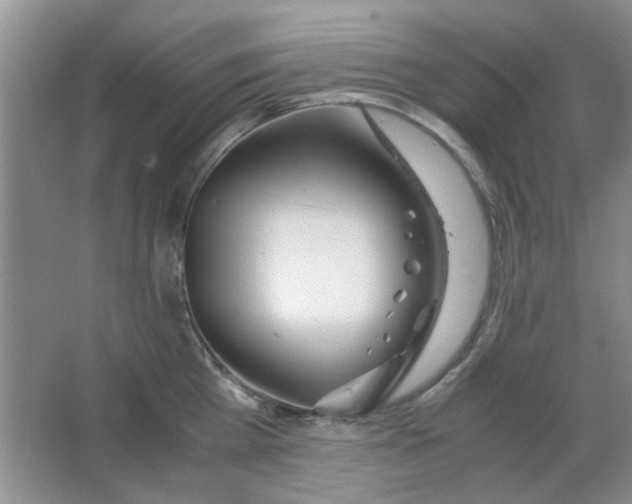 X0000063500809200602101857