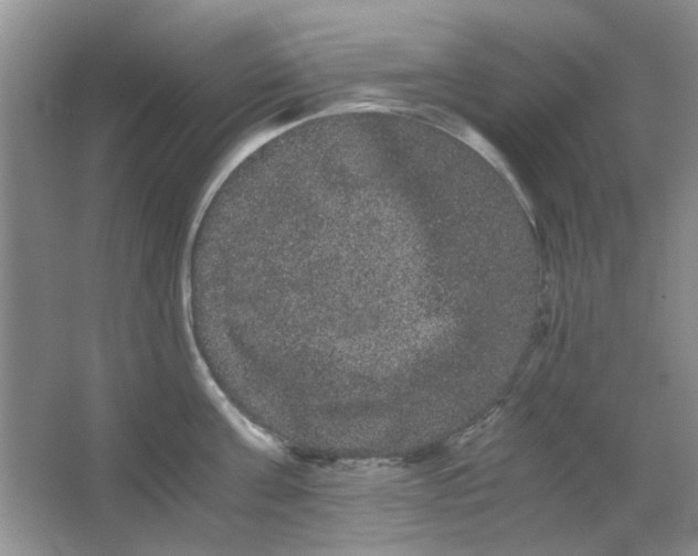 X0000063500811200602101857